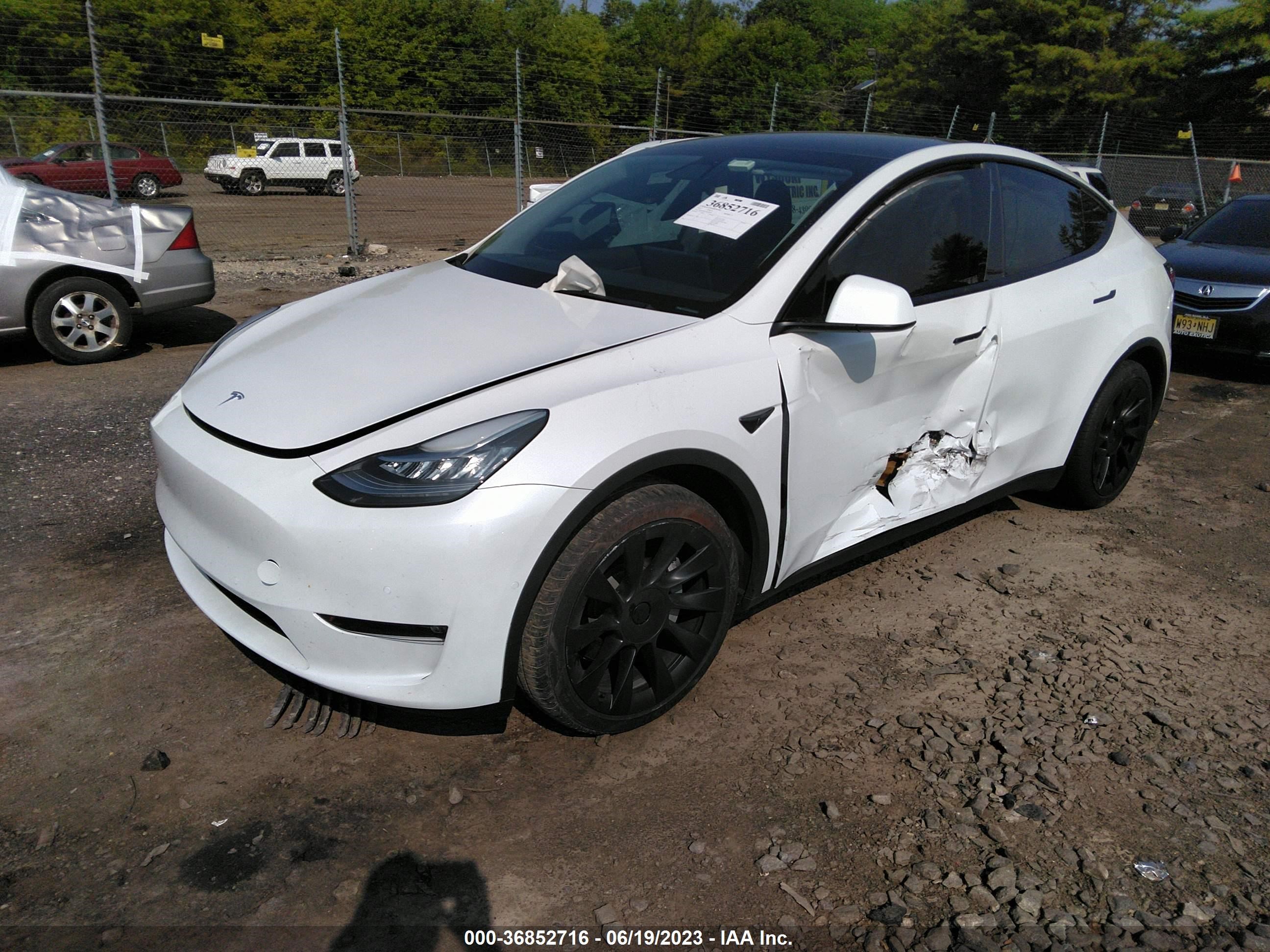 Photo 1 VIN: 5YJYGDEE5MF184563 - TESLA MODEL Y 