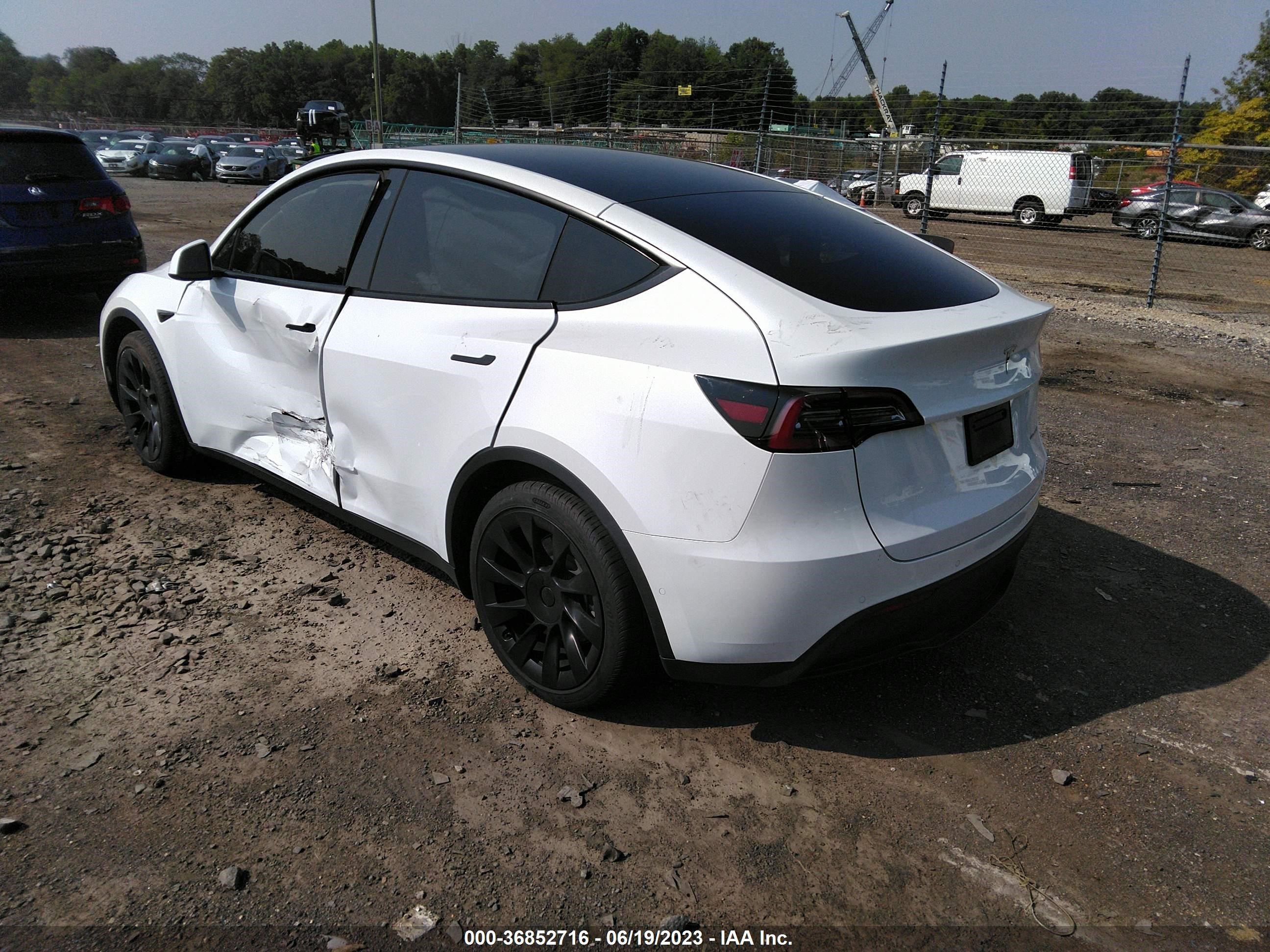 Photo 2 VIN: 5YJYGDEE5MF184563 - TESLA MODEL Y 