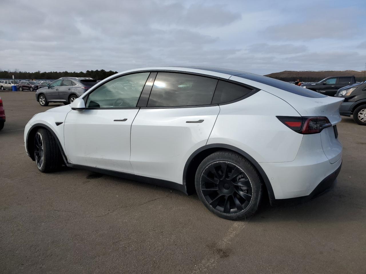 Photo 1 VIN: 5YJYGDEE5MF195921 - TESLA MODEL Y 