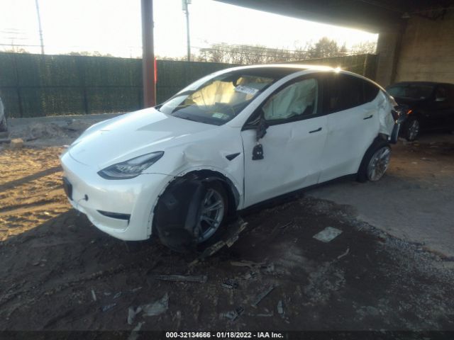 Photo 1 VIN: 5YJYGDEE5MF198253 - TESLA MODEL Y 