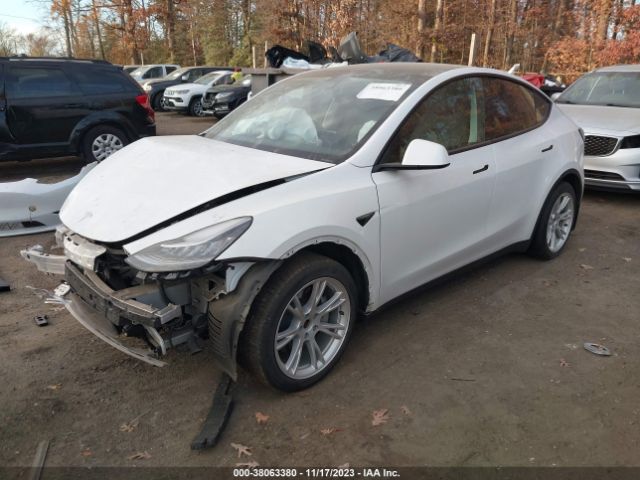 Photo 1 VIN: 5YJYGDEE5MF203919 - TESLA MODEL Y 