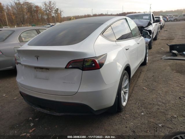 Photo 3 VIN: 5YJYGDEE5MF203919 - TESLA MODEL Y 