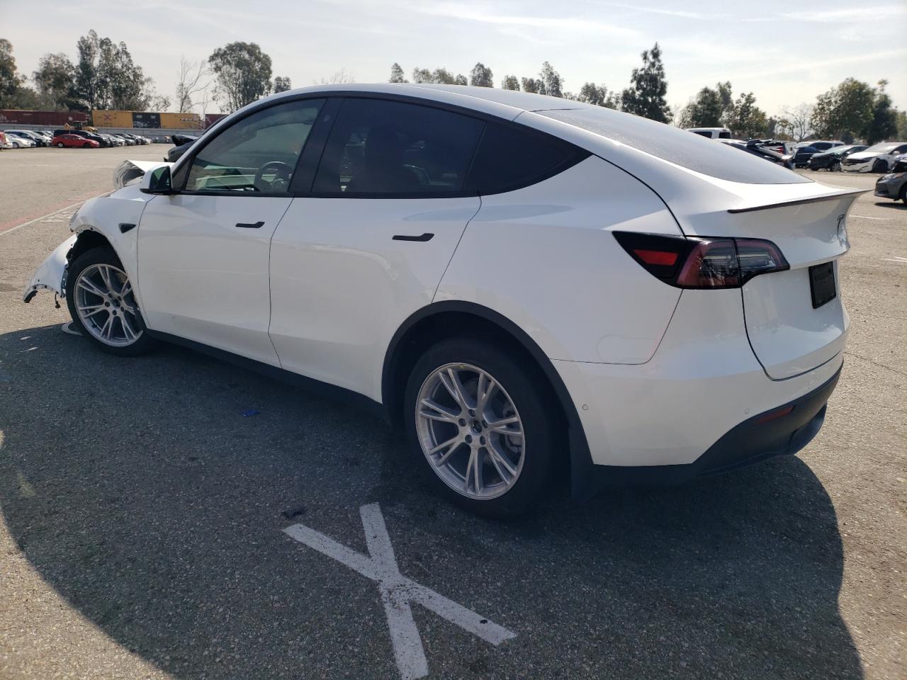 Photo 1 VIN: 5YJYGDEE5MF217657 - TESLA MODEL Y 