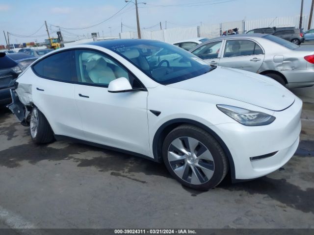 Photo 0 VIN: 5YJYGDEE5MF219859 - TESLA MODEL Y 