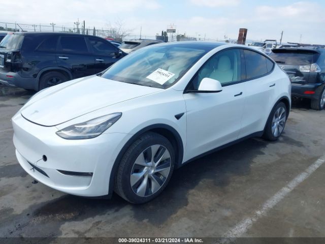 Photo 1 VIN: 5YJYGDEE5MF219859 - TESLA MODEL Y 