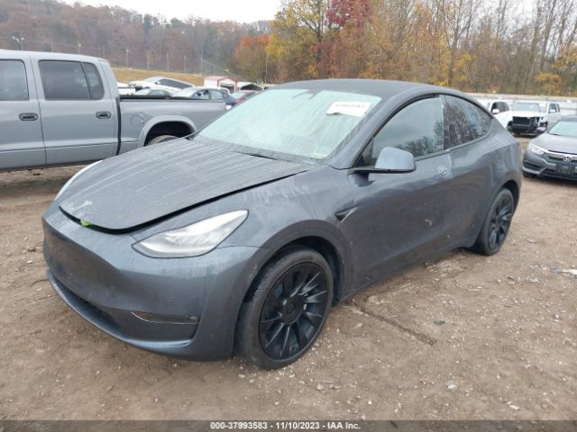 Photo 1 VIN: 5YJYGDEE5MF260931 - TESLA MODEL Y 