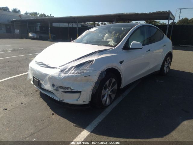 Photo 1 VIN: 5YJYGDEE5MF264204 - TESLA MODEL Y 