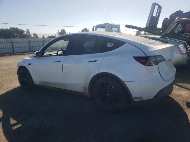 Photo 1 VIN: 5YJYGDEE6LF013030 - TESLA MODEL Y 