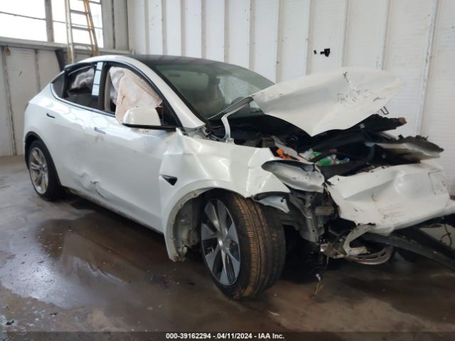 Photo 0 VIN: 5YJYGDEE6LF013514 - TESLA MODEL Y 