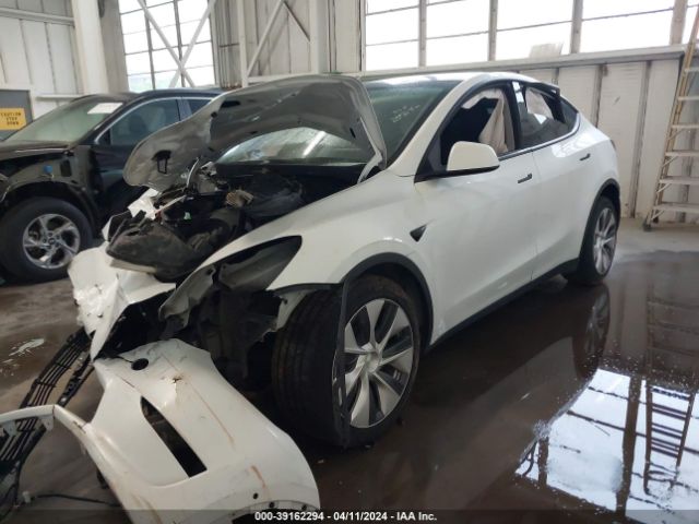 Photo 1 VIN: 5YJYGDEE6LF013514 - TESLA MODEL Y 