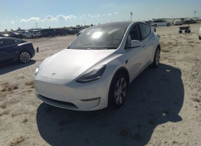 Photo 1 VIN: 5YJYGDEE6LF019023 - TESLA MODEL Y 