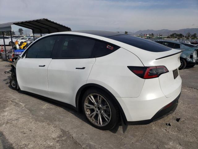 Photo 1 VIN: 5YJYGDEE6LF019619 - TESLA MODEL Y 