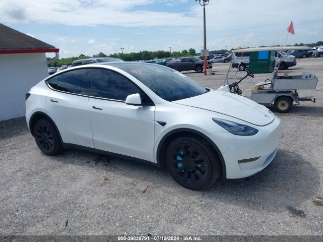 Photo 0 VIN: 5YJYGDEE6LF030894 - TESLA MODEL Y 