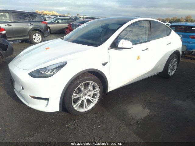 Photo 1 VIN: 5YJYGDEE6LF032046 - TESLA MODEL Y 