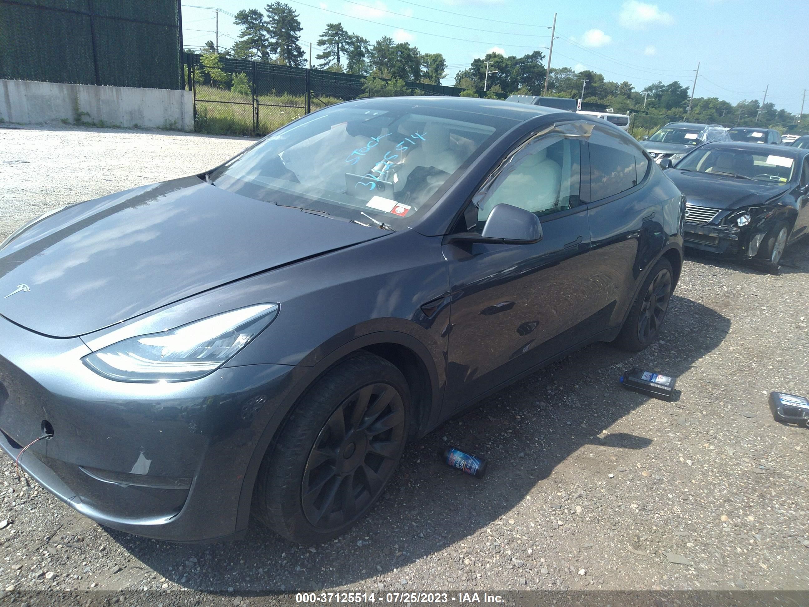 Photo 1 VIN: 5YJYGDEE6LF041099 - TESLA MODEL Y 