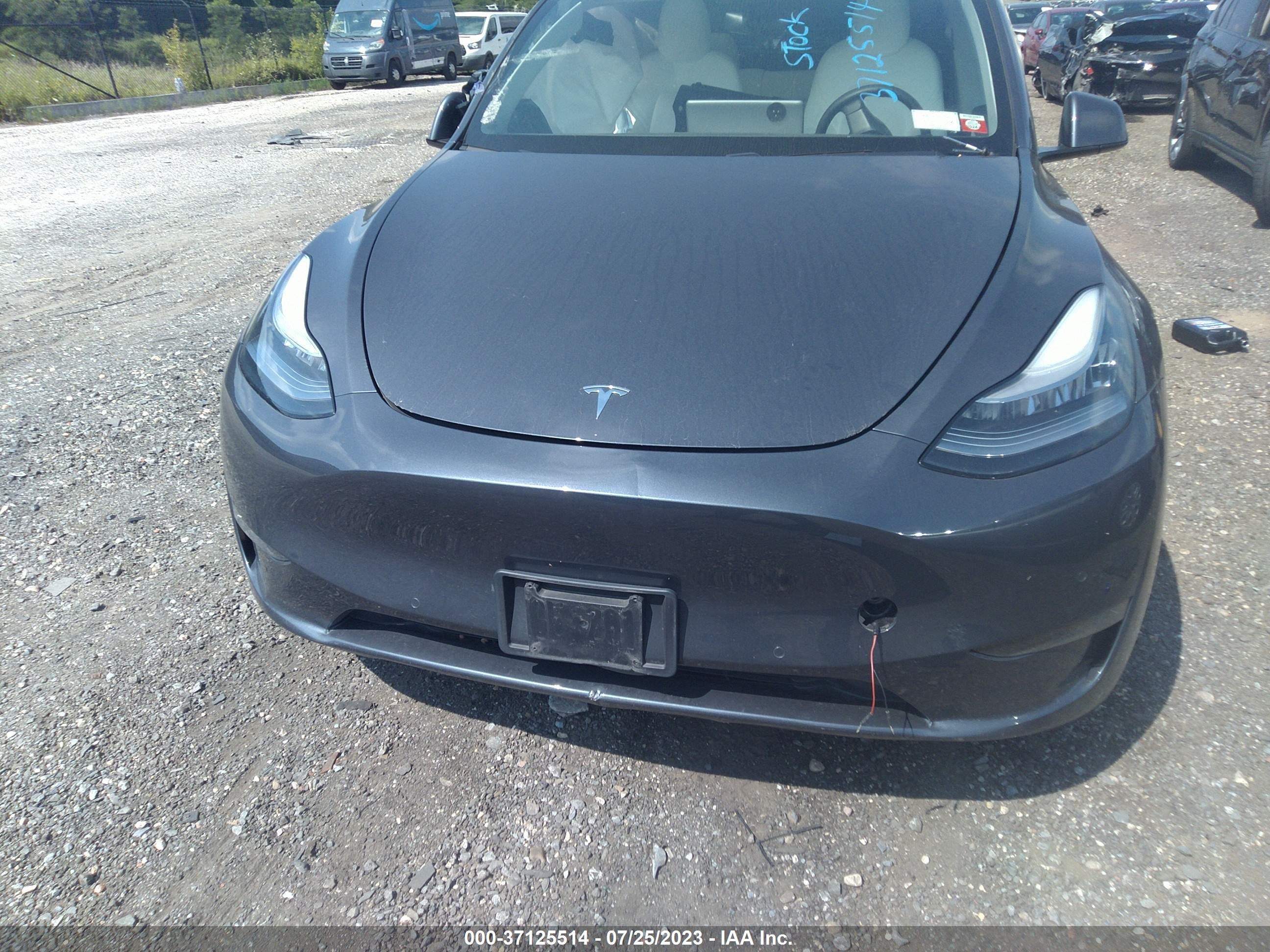 Photo 10 VIN: 5YJYGDEE6LF041099 - TESLA MODEL Y 