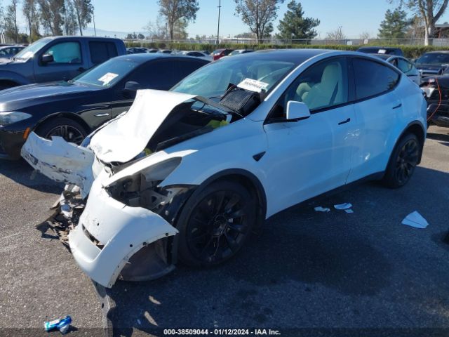 Photo 1 VIN: 5YJYGDEE6LF051616 - TESLA MODEL Y 