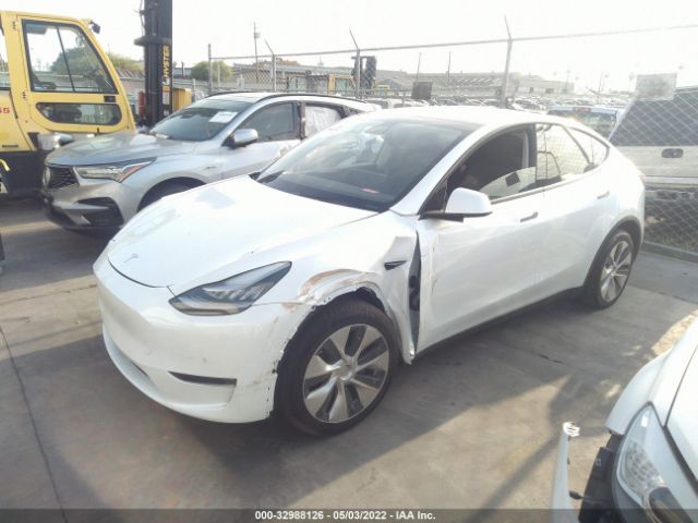 Photo 1 VIN: 5YJYGDEE6LF052894 - TESLA MODEL Y 