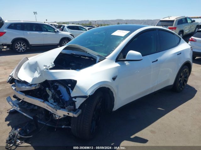 Photo 1 VIN: 5YJYGDEE6LF055567 - TESLA MODEL Y 