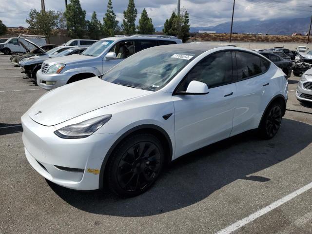 Photo 0 VIN: 5YJYGDEE6LF059019 - TESLA MODEL Y 