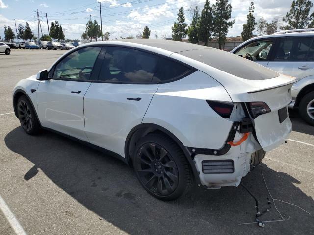 Photo 1 VIN: 5YJYGDEE6LF059019 - TESLA MODEL Y 