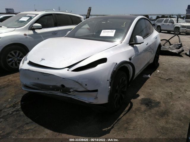 Photo 1 VIN: 5YJYGDEE6LF059621 - TESLA MODEL Y 