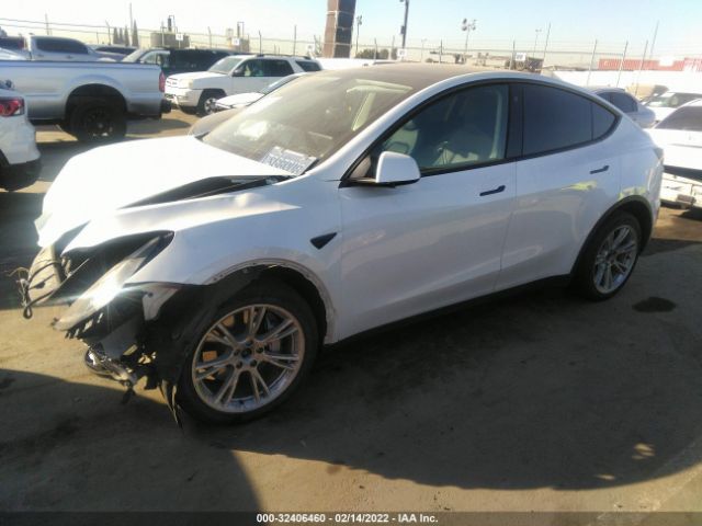 Photo 1 VIN: 5YJYGDEE6MF090448 - TESLA MODEL Y 