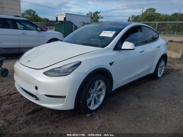 Photo 1 VIN: 5YJYGDEE6MF099778 - TESLA MODEL Y 