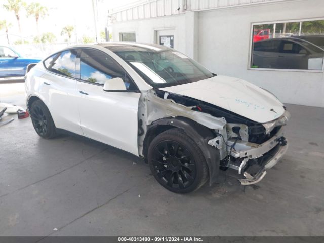 Photo 0 VIN: 5YJYGDEE6MF111864 - TESLA MODEL Y 