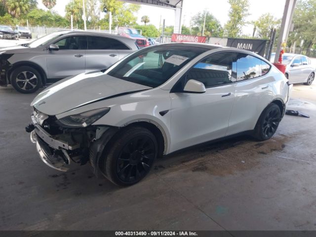 Photo 1 VIN: 5YJYGDEE6MF111864 - TESLA MODEL Y 