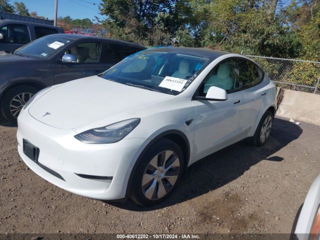 Photo 1 VIN: 5YJYGDEE6MF118121 - TESLA MODEL Y 