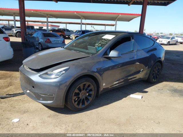 Photo 1 VIN: 5YJYGDEE6MF148428 - TESLA MODEL Y 