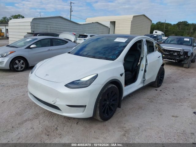 Photo 1 VIN: 5YJYGDEE6MF177413 - TESLA MODEL Y 