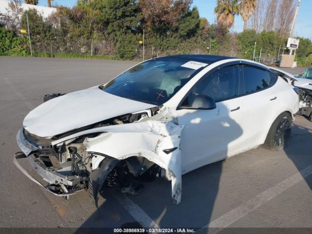 Photo 1 VIN: 5YJYGDEE6MF189335 - TESLA MODEL Y 