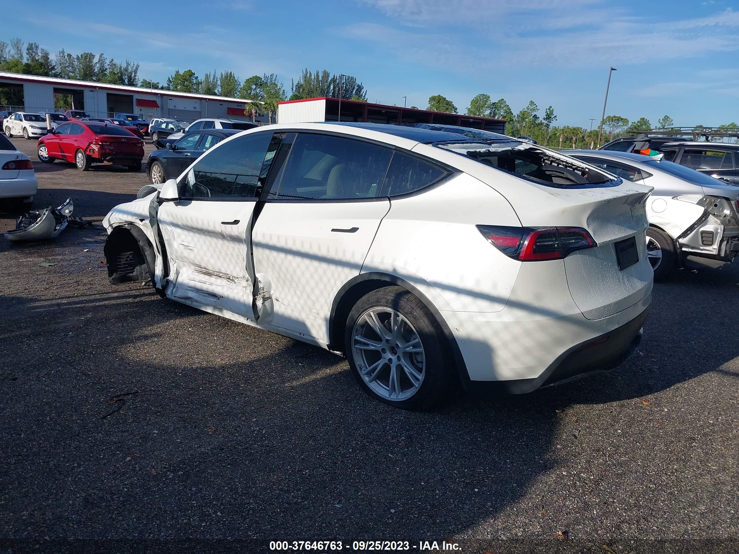 Photo 2 VIN: 5YJYGDEE6MF195832 - TESLA MODEL Y 