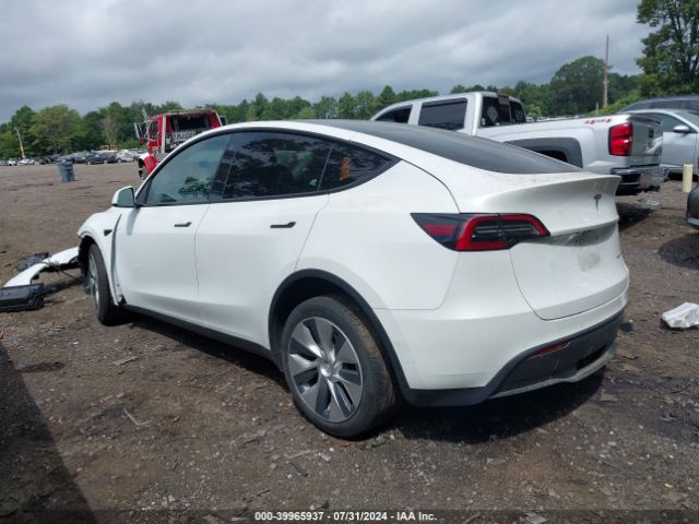 Photo 2 VIN: 5YJYGDEE6MF255074 - TESLA MODEL Y 