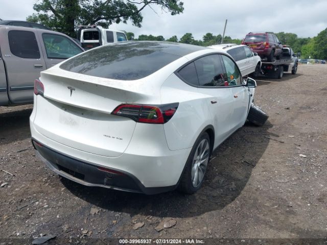 Photo 3 VIN: 5YJYGDEE6MF255074 - TESLA MODEL Y 