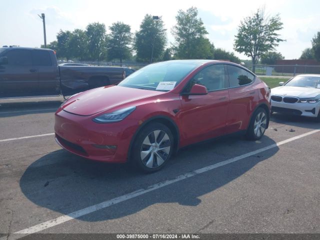 Photo 1 VIN: 5YJYGDEE6MF296840 - TESLA MODEL Y 