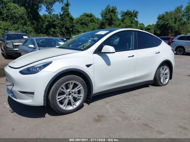 Photo 1 VIN: 5YJYGDEE7LF009603 - TESLA MODEL Y 