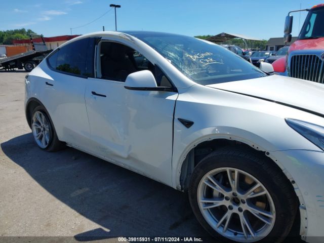 Photo 5 VIN: 5YJYGDEE7LF009603 - TESLA MODEL Y 