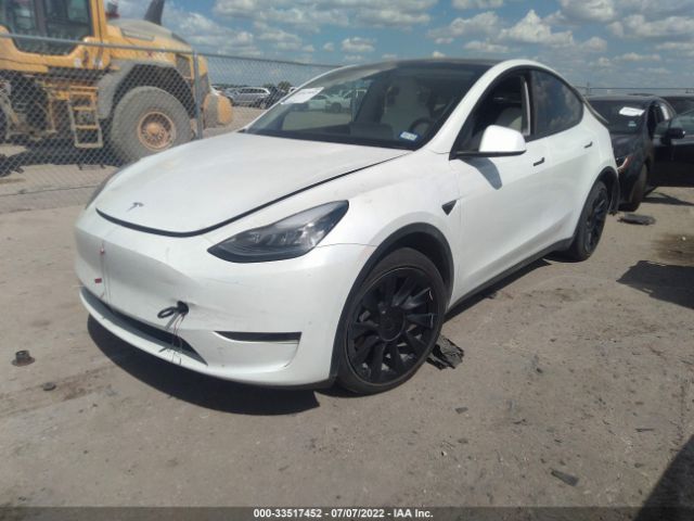 Photo 1 VIN: 5YJYGDEE7LF036221 - TESLA MODEL Y 