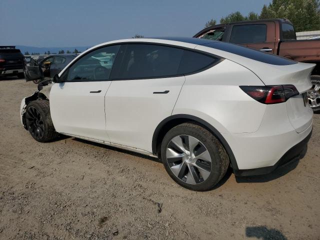 Photo 1 VIN: 5YJYGDEE7LF038261 - TESLA MODEL Y 