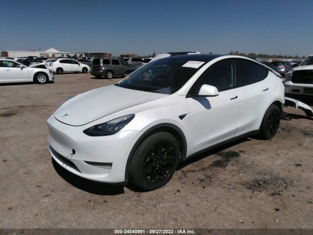 Photo 1 VIN: 5YJYGDEE7LF044058 - TESLA MODEL Y 