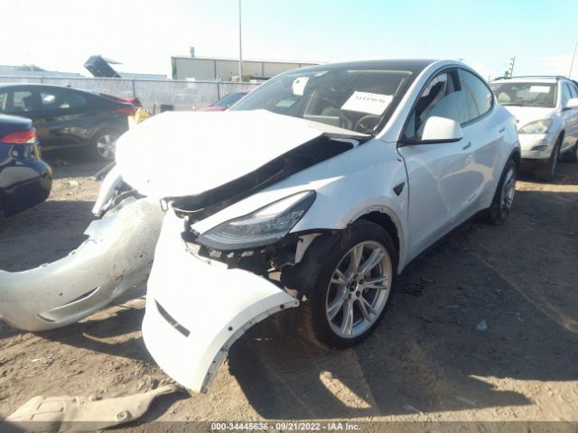 Photo 1 VIN: 5YJYGDEE7LF048045 - TESLA MODEL Y 