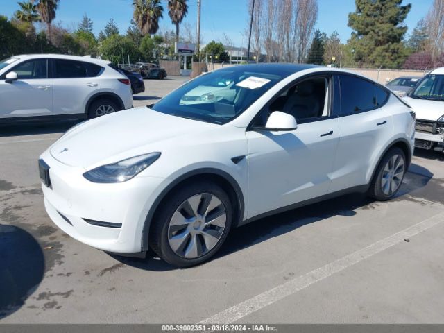 Photo 1 VIN: 5YJYGDEE7LF054475 - TESLA MODEL Y 