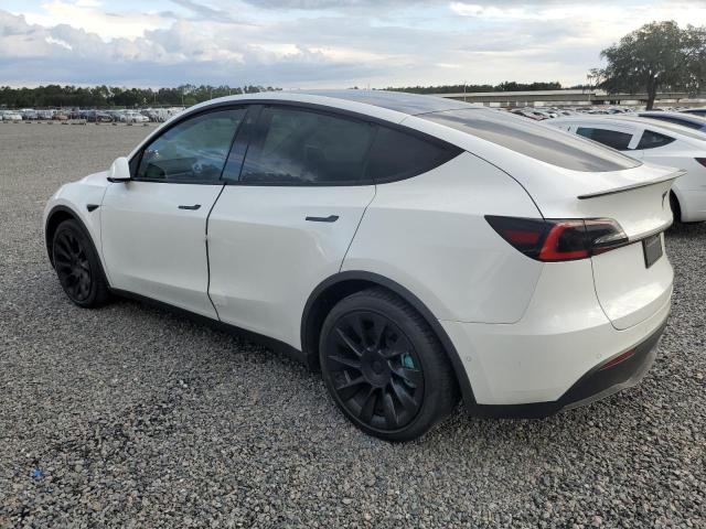 Photo 1 VIN: 5YJYGDEE7MF062061 - TESLA MODEL Y 