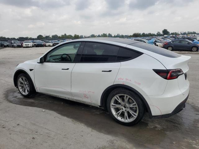 Photo 1 VIN: 5YJYGDEE7MF073285 - TESLA MODEL Y 