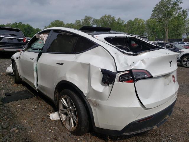 Photo 1 VIN: 5YJYGDEE7MF075358 - TESLA MODEL Y 