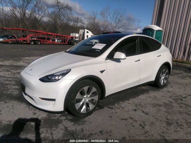 Photo 1 VIN: 5YJYGDEE7MF106284 - TESLA MODEL Y 