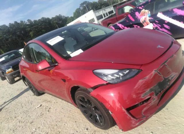 Photo 0 VIN: 5YJYGDEE7MF125255 - TESLA MODEL Y 